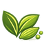 ClearCardamom Logo
