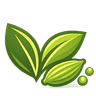 ClearCardamom Logo